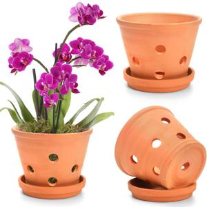 Jucoan 3 Pack 6 Inch Terracotta Orchid Pots with Holes and Saucers, Small Clay Flower Pots Terra Cotta Orchid Planter Pot for Repotting