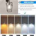 40 Watt Light Bulbs, E26 Bulb, 4000K Cool White 4W LED Edison Bulbs, Flickering Free, 90 High CRI, 450LM, Not Dimmable, Pack of 12