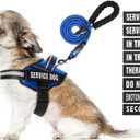 Service Dog Vest Harness and Leash Set, Animire in Training Dog Harness with 10 Dog Patches, Reflective Dog Leash with Soft Padded Handle for  Dogs (Blue, XS)