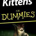 Kittens For Dummies