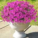 TOCHGREEN Artificial Fake Flowers Plants for Outdoor Spring Summer Decoration,12 Bundles UV Resistant Faux Silk Morning Glory Eucalyptus Flowers for Home Planter Porch Patio Decor (Fuchsia, 12PCS)