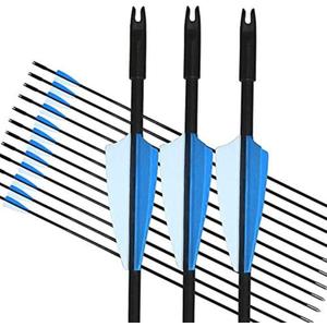 GPP Archery Beginner's First Arrows (30" Fiberglass Target Archery Arrows) - 12 Pack (Blue)