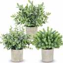 CCILAND 3 Pack Small Potted Fake Plants, Artificial Eucalyptus Plants, Lifelike Faux Frost-Hung Plants Topiaries for Home Office Shelf Desk Living Room Greenery Decor