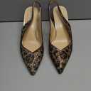 Betsey Johnson Women's Clark, Light Brown/Black Leopard Print, Size 10, Width Medium