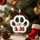2 x Cat Ornaments 2025 - Acrylic & Wooden Christmas Hanging Ornaments - Cat Lover Gifts for Women, Lady, Crazy, Owner - Kitten Ornaments for Christmas Tree