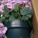 Artificial Handmade Geraniums with Flowers Scent 2 Pots Pink White Purple Lavender Lifelike Faux Geraniums Bushes Fake Flowers for Wedding Party Home Office Indoor Outdoor Plants Decor