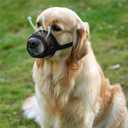 Evollax Muzzle for Small Dog - Soft Air Mesh XS Dog Muzzle for Small Dogs | Perfect for Barking and Biting Prevention | Puppy Mussels for Grooming Allows Panting & Drinking
