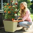 SUNYRISY Self Watering Planter Box with Plant Cage, Raised Garden Bed with Wheels and Tomato Cage for Climbing Plants Vegetable Vine Flowers Outdoor Patio (Sage Green)