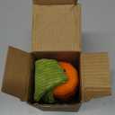 MewaJump Dog Squeaky Chew Toys for Aggressive Chewers, Easter Toys Rubber Carrot Dog Toys for Training and Cleaning, Durable Interactive Tough Dog Toy for Puppy Medium Dogs, Orange-Carrot