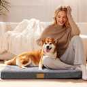 Patas Lague Orthopedic Large Dog Bed Washable Pet Sofa Mat 36''X24'' Grey