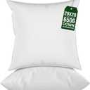 raajsee 20x20 Throw Pillow Inserts Set of 2 - Luxurious Comfort for Your Couch and Sofa | Fluffy, Soft & Durable | Perfect for Decorative Shams | Machine Washable (20x20 Inches/50x50 cms)