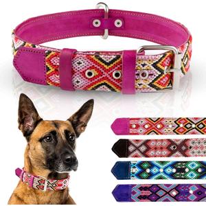 Leather Western Dog Collar - Embroidered, Handmade, Blue Pink, Medium, Cute, Collar para Perros (Rose Blush, Medium)