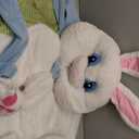 Adult Deluxe Easter Bunny Costume, Size XL