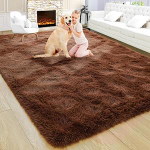 Noahas Large Fluffy Brown 5x8 Area Rugs for Living Room Bedroom,Thick Shag Throw Rug,Big Soft Shaggy Bedside Non-Slip Plush Dorm Nursery Kids Carpet