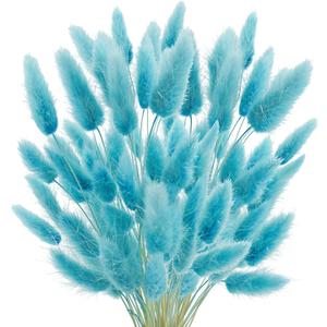 17 Natural Bunny Tails Dried Flowers, 120 Pcs Dried Lagurus Ovatus, Dried Foxtail Grass for Home Arrangements Wedding Centerpieces Boho Baby Shower Party Decorations (Teal Blue)