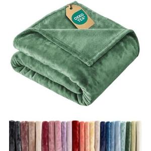 Ultra Soft Fleece Blanket Twin Size - Flannel Fleece Luxury Twin Blanket - Lightweight for Couch Bed Chair - Thick, Warm & Breathable - All Season Cozy Fuzzy Anti-Static Microplush Bedding, Sage Green