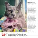365 Cats Page-A-Day® Calendar 2026: The World's Favorite Cat Calendar