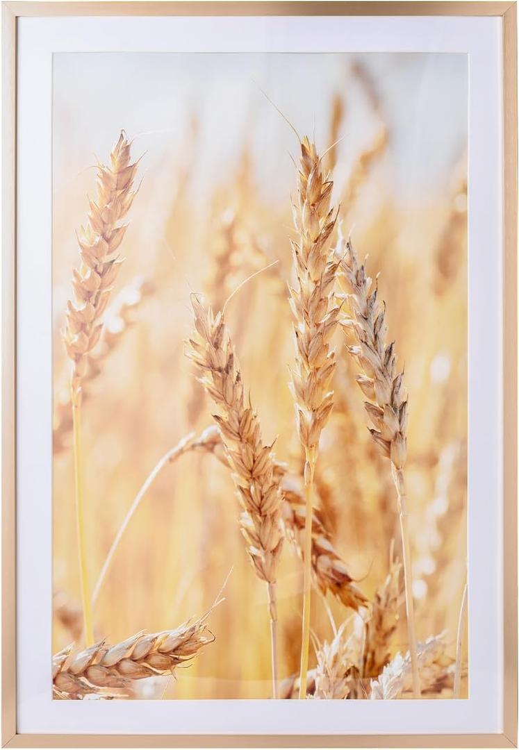 wyooxoo 13x19 Picture Frame Poster Frame Gold Aluminum with Polished Plexiglass Horizontal and Vertical Formats for Wall