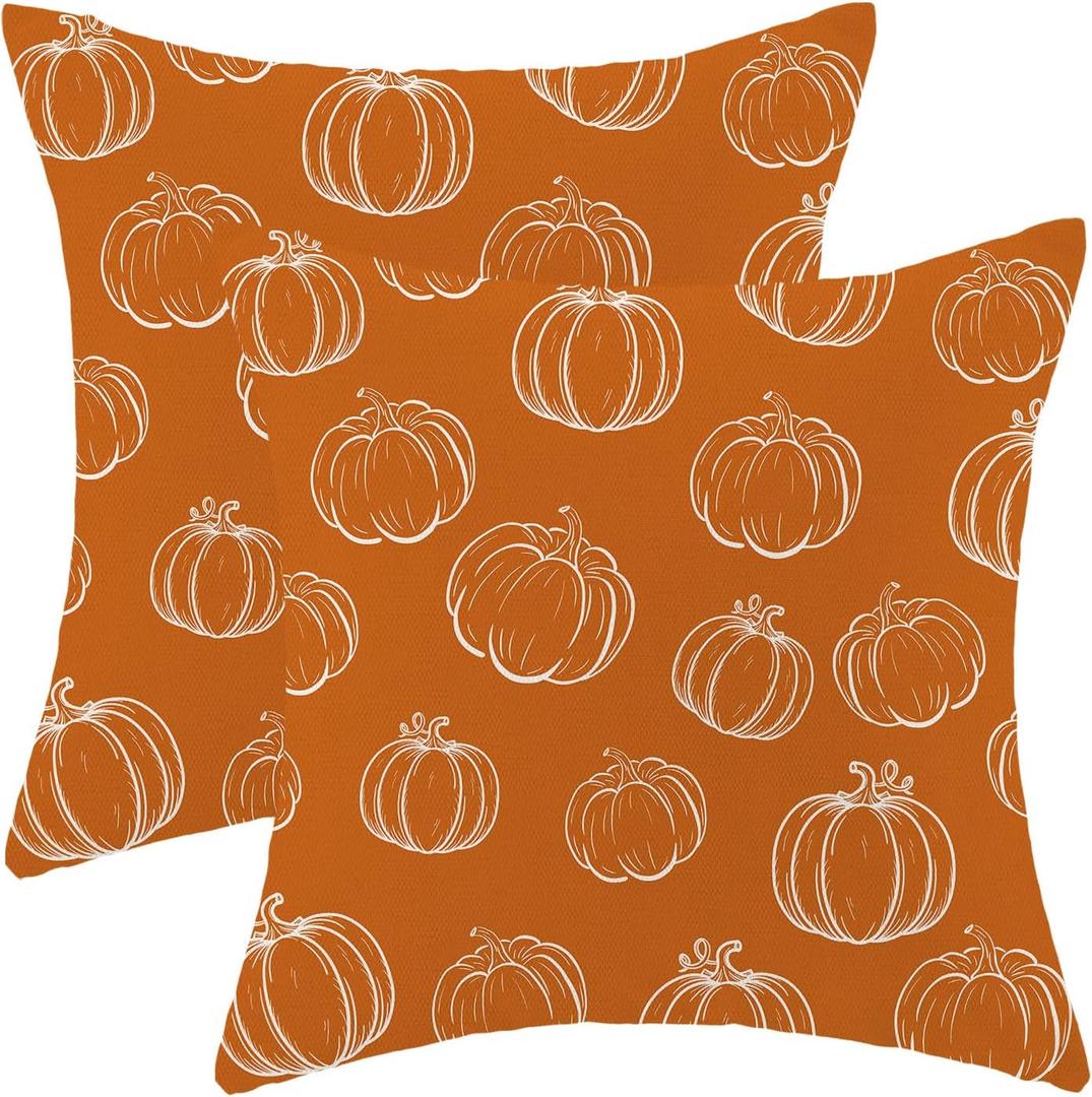Fall Pillow Covers 20x20 Inch Set of 2 Burnt Orange White Pumpkin Throw Pillows Case,Thanksgiving Autumn Outdoor Decorative Linen Farmhouse Harvest Decor Cushion Covers for Home Sofa Bed Couch 