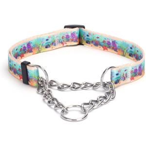 Martingale Dog Collar with Stainless Steel Chain - Limited Chain Cinch Training Collar for No Pull Training Dog - Flower Multicolor Cute Patterns - Premium No Slip Collar (S, Ocean)