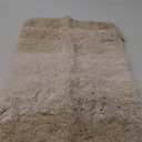 Arotive Microfiber Bathroom Rugs, Shaggy Soft and Absorbent Bath Rug, Non-Slip, Thick Plush Machine Washable Dry Bath Mats for Bathroom, Tub and Shower, 24x16, Light Beige