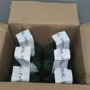 Pack Of 6 Avalon Organics, Shampoo Apple Cider Vinegar, 11 Fl Oz