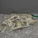 CAMIRUS 2PACK 36" Skeleton Halloween Decorations, 3ft Life Full Size Skeleton with Realistic Posable Movable Joints for Halloween Haunted Houses, Lawn, Graveyard