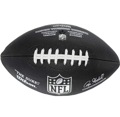 Wilson NFL Mini Replica Football