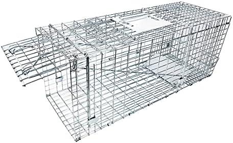 Large Collapsible Humane Live Animal Cage Trap No-Kill Trapping Kit for Humane Catch Release Rabbits, Stray Cat, Squirrel, Raccoon, All Fit Sized Animals, Heavy Duty, 2-Door 31"x11.5"x12.5"
