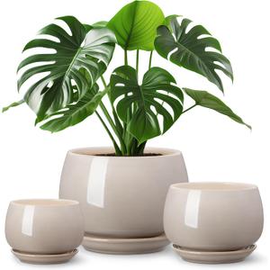 vancasso 3-Pack Ceramic Plant Pots, 3.7/4.8/6.2 Inch Indoor Planters with Saucers & Drainage Hole Planter pots for Indoor Plants and Flower, Gray
