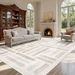 EcoNest Washable Area Rugs, 8x10ft Soft Rug for Living Room and Bedroom Vintage Striped Rug Stain Resistant with Non Slip Backing Geometric Checkered Foldable Print Mat for Home Decor