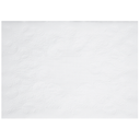 Geosar Disposable Paper Placemats  Set Summer Outdoor Indoor for Greenery Dining Table Decoration Shower Birthday(White)