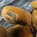 4.9FT Halloween Scary Decorations Outdoor,Hanging Swinging Doll Girl with Sound & Slap Activated/Creepy Sound/Light Up Eyes,Creepy Halloween Hanging Ghosts for Indoor, Outdoor,Haunted House Decor