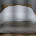 18 x 18 inches Pillow Inserts, Set of 6 Hypoallergenic Brushed Microfiber Liner Down Alternative Filled Square Cushion Throw Pillow