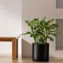 LE TAUCI 12 Inch Pot for Plants, Ceramic Planters for Indoor Plants, Mid-Century Modern Cylinder Flower Pots with Drainage Hole, Fits Fiddle Leaf Fig & Monstera, Home Decor, Black