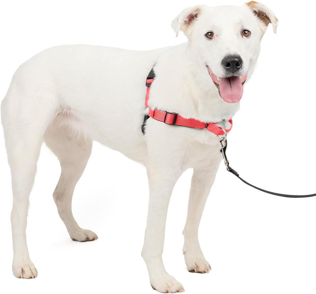 PetSafe Deluxe Easy Walk Harness - Trainer-Trusted Dog Chest Harness with Breathable Martingale Loop Design - Helps Stop Pulling with No Choking & Gagging - Medium/Large - Rose