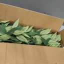 Ferrgoal Artificial Eucalyptus Tree, 5Ft Tree Fake Plant in Pot for Home and Office Decor,Potted Faux Plants Tall Artificial Trees for Indoor