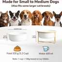 Elevated Ceramic Dog Bowl with Metal Stand - Raised Feeding Dish for Small and Medium Dogs - Ideal for Food or Water - Each Holds 600ml / 3.2 Cups (Approx. 320g) - White