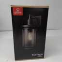 Xavier 1-Light Outdoor Indoor Wall Sconce, Matte Black, Seeded Glass Shade