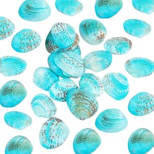 PH PandaHall 35pcs Blue Natural Seashell Bead, 32~37mm Undrilled Dyed Scallop Sea Shell Bead Blue Clam Beach Seashell for Jewelry Candle Making Home Party Wedding Fish Tank Vase Filler, No Hole