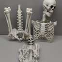 CAMIRUS 5.4ft Skeleton Halloween Decoration, Life Full Size Skeleton with Dog Skeleton, Posable Human Skeletons Realistic Plastic Bones for Halloween Haunted House Scary Decor