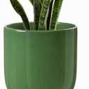 LE TAUCI 10 Inch Plant Pot, Ceramic Pots for Plants, Bamboo Green
