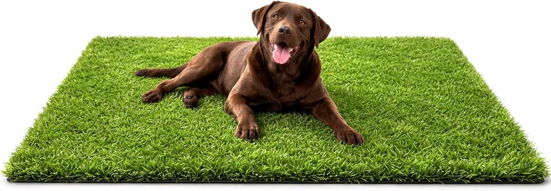 Dog Grass Rug 47.2 x 31.5in – Realistic Artificial Turf with Fast Drainage, Ideal for Pet Potty Training, Balcony, Garden & Indoor Use