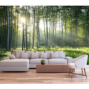 Reyhui Sunshine Forest Mural Wallpaper Landscape Tree Wallpaper Large Nature Scenery Wall Mural for Living Room (not self-Adhesive)