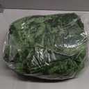 Lux Forest Green Crushed Velvet Curtains, 2 Panel Set, Room Darkening Distressed Velvet Back Tab Curtain, 52" W x 96" L for Living Room Bedroom Window Drapes