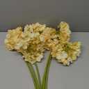 Hydrangea Artificial Flowers,6 Pcs Faux Hydrangea Flowers,Artificial Hydrangeas Flowers with Stems,Fake Hydrangeas,Silk Hydrangeas Flowers with Stems for Home Decor (6, Champagne)
