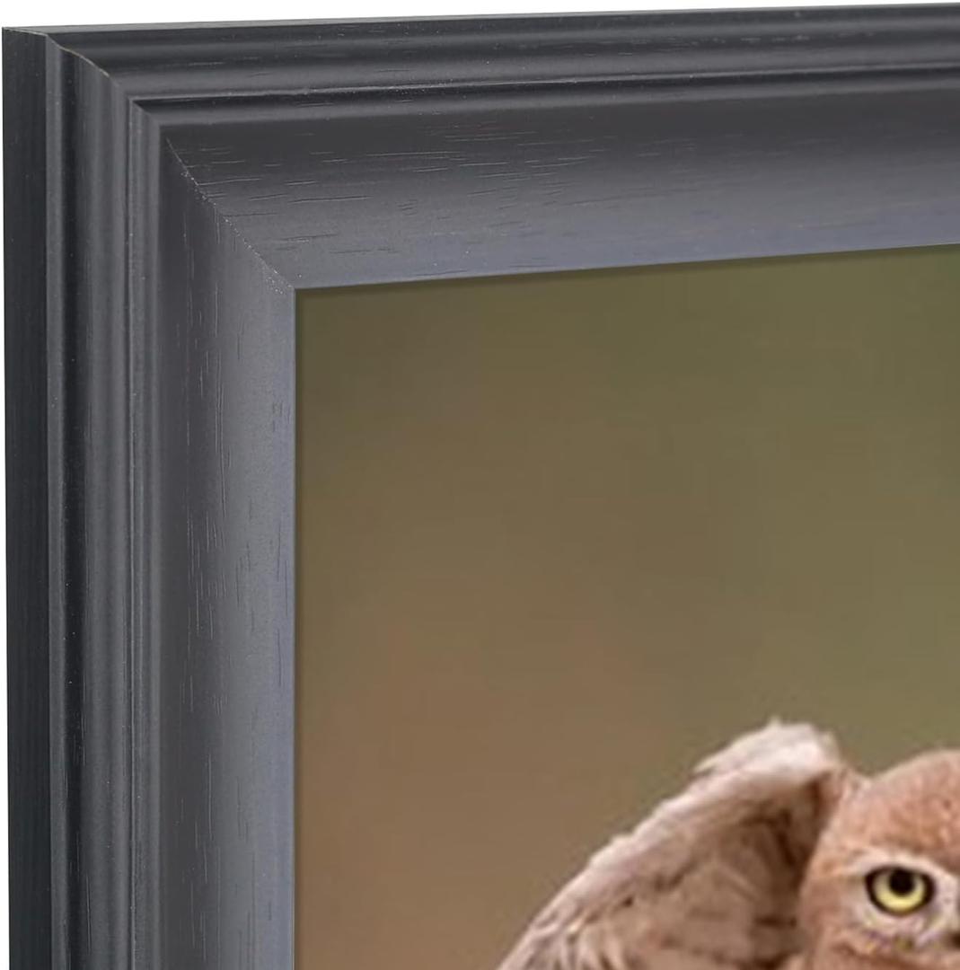 19x23 inch Picture Frame Solid Wood 19x23 Photo Frame 19x23 Poster Frame Black (A23B1923)