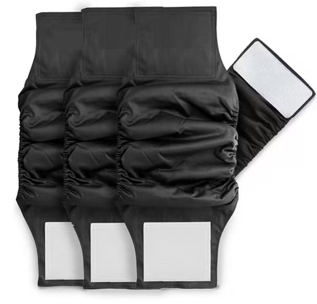 Belly Bands 3 Packs Of Washable And 1Ectendrs