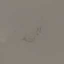 Bemis 1500EC 006 Toilet Seat with Easy Clean & Change Hinges, Elongated, Durable Enameled Wood, Bone, 1 Pack