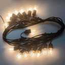 25FT LED Outdoor Patio String Lights.IP65 Water Proof Strand with 12 Shatterproof Bulbs.UL Listed Heavy-Duty Christmas Lights.Outside Hanging Lights for Patio,Balcony,Garden,Yard,Party.